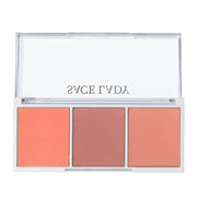3 Color Blush high gloss repair plate