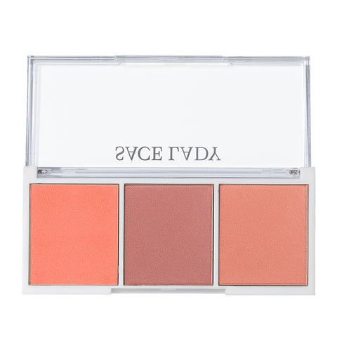 3 Color Blush high gloss repair plate